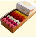 ΖΕΡΜΒΕΡΑ ΕΛΛΗΝΙΚΗ χ 25 GERBERA GR MIX ΕΛΛΗΝΙΚΗ